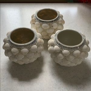 Shell votive holders
